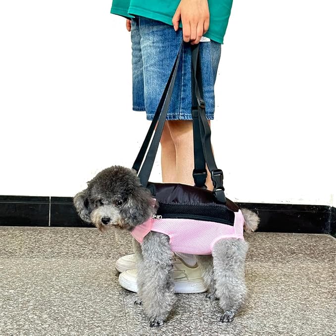 Pet Dog Carrier Backpack, Portable Breathable Mesh Chest Carrier, Polyester Woven Double Shoulder Pet Bag for Outdoor Adventures (Pink, X-Large)