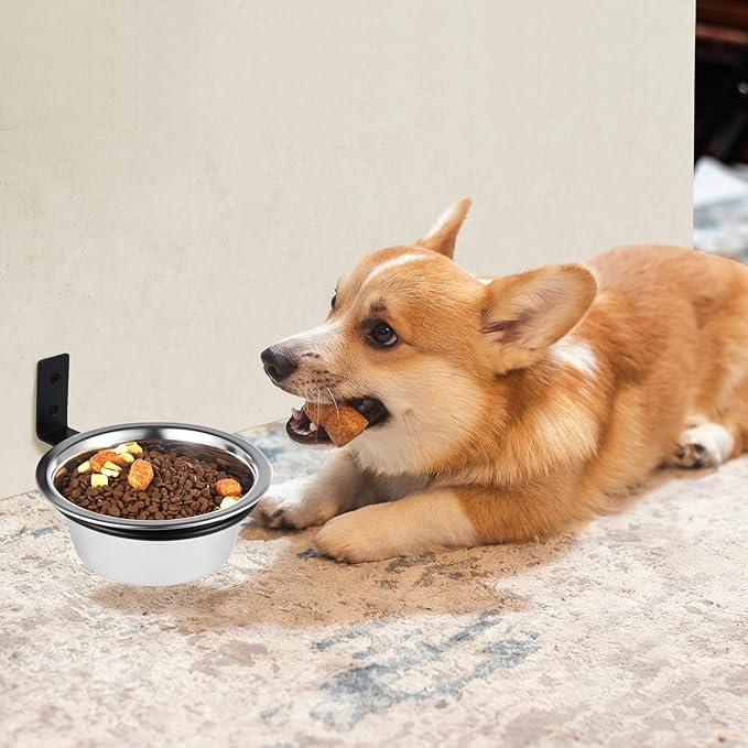 Dandat 6 Pack Elevated Dog Bowls 25 oz Wall Mounted Bowl Stainless Steel Adjustable Height Raised Puppy Metal Food and Water Bowls for Cat, Puppy, and Dogs