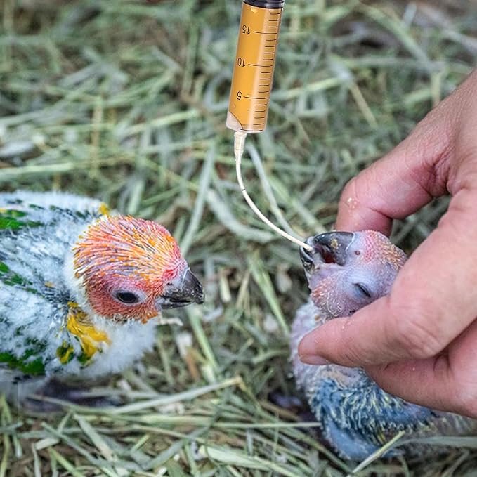 Baby Bird Feeding Syringe Set, Pet Parrot Milk Feeding Syringe with Tubes, Parrot Feeding Tubes Measuring Tools for Feeding Pets Scientific Industrial Labs (20ml)