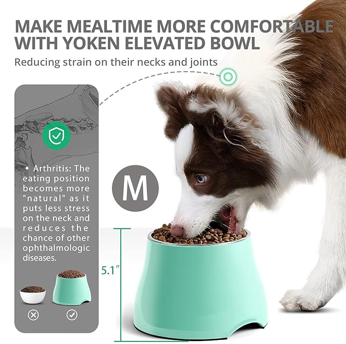 Raised Dog Bowls, Elevated Dog Bowls for Wearing Cone,Cocker Spaniel Long Ears,Neck Stress-Free,Non-Slip Stianless Steel Bowl for Medium/Small Size Dogs