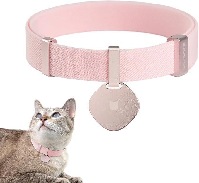 Safety Cat Collar Pro and Tag Set - U.S. IDA Gold Award, Elastic Release Cat Collar Charm Tag, Non Breakaway Cat Collar Adjustable with Charm for Kitten Small Large Cats (Blush Pink, M)