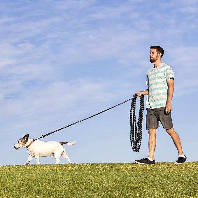 Long Dog Leash for Training 30Ft-Reflective Nylon Rope with Swivel Hook-Recall Agility Lead for Large Small Medium Dogs Outside Walking Hiking-Black Diam 1/2"