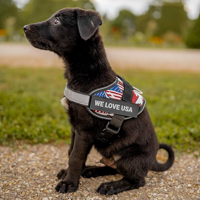 Personalized No-Pull Dog Harness with Name Patch, Adjustable, Reflective, Padded, Heavy Duty Pet Vest to Prevent Tugging, Pulling, or Choking, Training and Walking, Camouflage Pink, XL