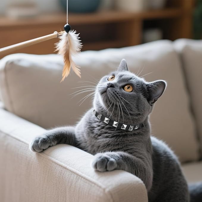 EXPAWLORER Halloween Leather Cat Collar - Adjustable Pet Collar with Rivet Spike for Girl Boy Cats, Punk Accessories with Bell & Durable D-Ring,Silver Square Nails