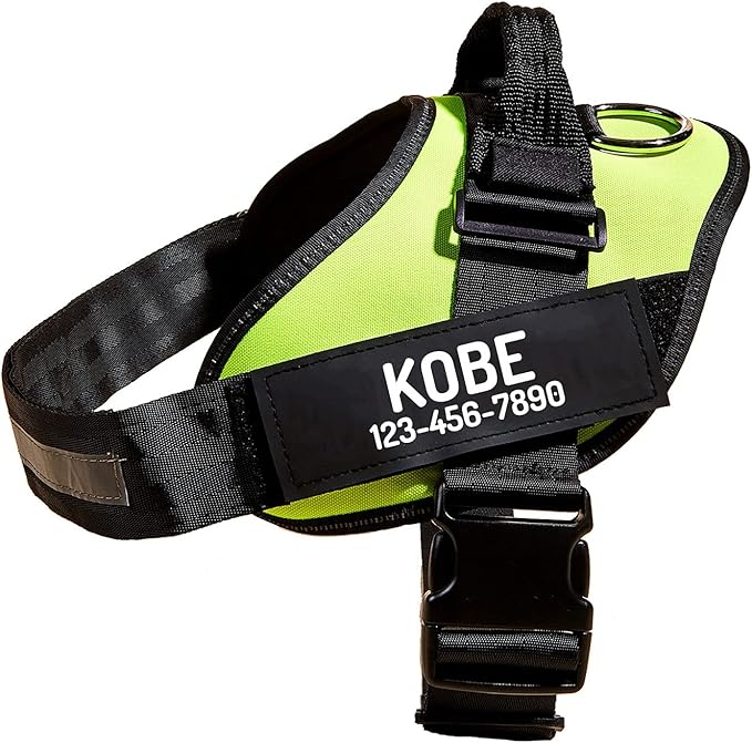 PawPawify Custom No Pull Dog Harness with Name and Phone Number, Heavy Duty Personalized Pet Vest to Prevent Tugging, Pulling, or Choking, Training and Walking (Green, M (Chest 20-24in))