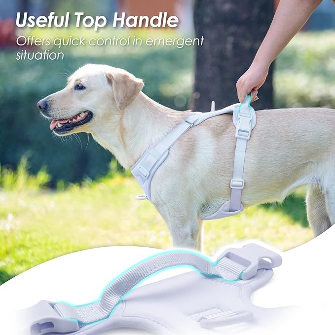 No Pull Dog Harness, Puppy Vest with Front Clip for Small Medium Large Sized Dog(Light Blue,M)