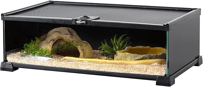REPTIZOO Small Reptile Tank 20" x 12" x 6" Glass Reptile Terrarium with Top Feeding Habitat for Snake Spider