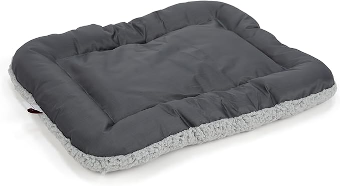 SportPet Designs Foldable Travel Cat Carrier - Front Door Plastic Collapsible Carrier Collection, Waterproof Bed (Pack of 2)