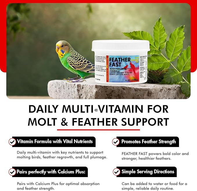 Morning Bird Feather Fast 6 Oz – Multi-Vitamin During Molt - Molting Support Supplement for Birds – Amino Acid & Vitamin Powder Formula– Promotes Feather Growth, and Full Plumage – for All Adult Birds