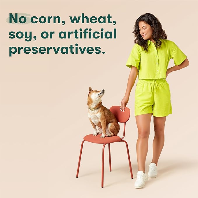 Jinx Chicken Wet Dog Food Topper, Mix with Dry Dog Food, Made with Real Chicken, Bone Broth & Brown Rice, No Fillers, Puppy, Adult, Senior, 9oz, 12 Pack