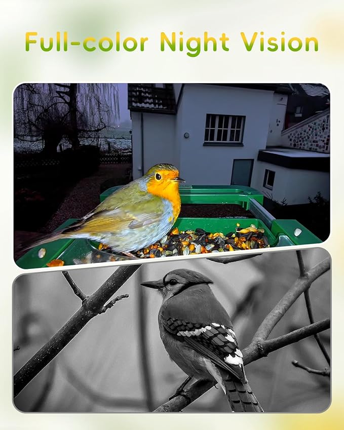 Hibird 4K HD Smart Bird Feeder with Camera, 2.4G/5G Dual WiFi Wireless Outdoor, Auto Higher Resolution Bird Video Capture, AI Identify 10000+ Species, 1080P Live Function for Everyone