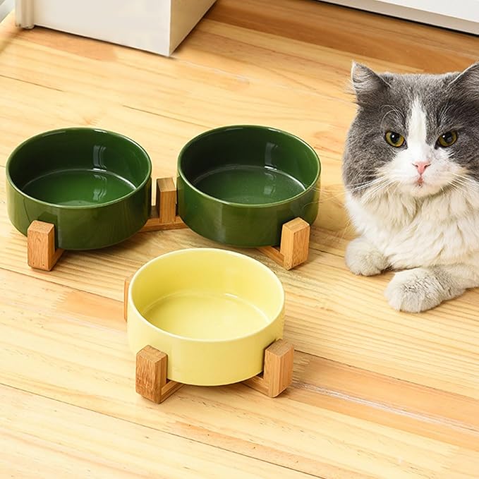 Petygooing Dog Bowls,Ceramic Cat Dog Bowl Set with Wood Stand for Food and Water,Non-Slip Cute Modern Pet Dish for Cats and Small Size Dogs (13.5OZ/5.1 in) Rust Green
