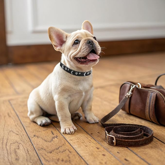 EXPAWLORER Halloween Leather Cat Collar - Adjustable Pet Collar with Rivet Spike for Girl Boy Cats, Punk Accessories with Bell & Durable D-Ring, Star & Moon