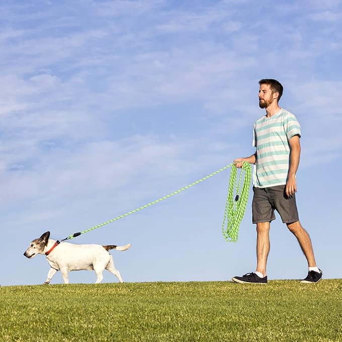 Long Dog Leash for Training 30Ft-Reflective Nylon Rope with Swivel Hook-Recall Agility Lead for Large Small Medium Dogs Outside Walking Hiking-Green