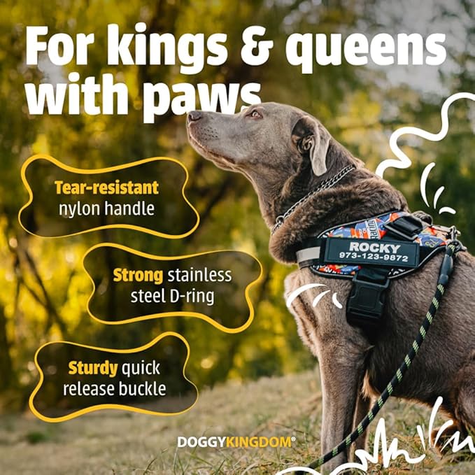 Personalized No-Pull Dog Harness with Name Patch, Adjustable, Reflective, Padded, Heavy Duty Pet Vest to Prevent Tugging, Pulling, or Choking, Training and Walking, Camouflage Pink, XL