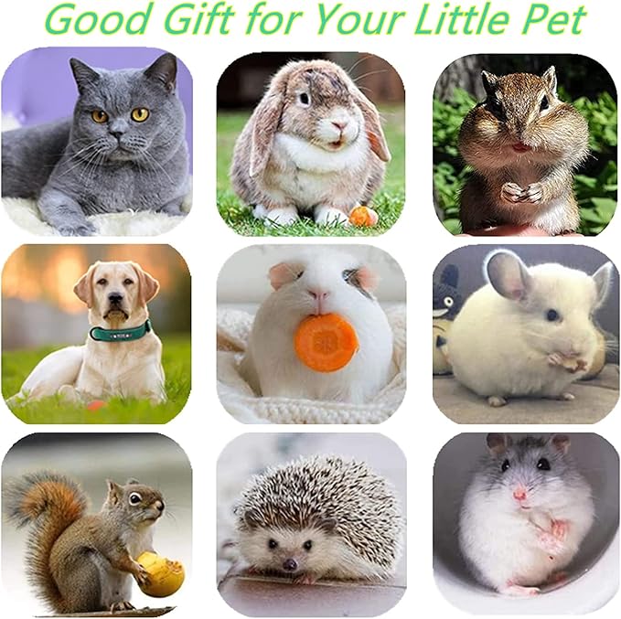 Cat Toys,3 Pack Silvervine Cat Feather Toy Kitten Chew Stick Catnip Treat for Cleaning Teeth Indoor Kitty Teaser Wand Molar Snack Interactive Pet Rabbit Bunny Hamster