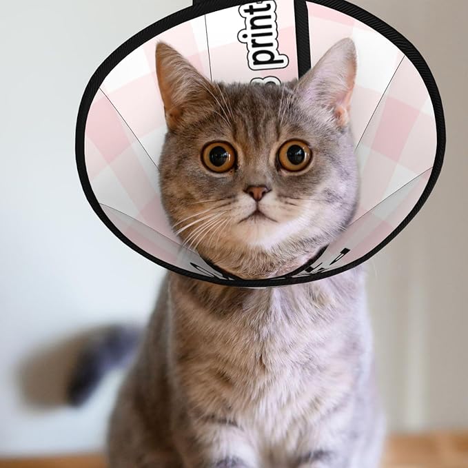 Custom Cat Cone Collar Soft Post-Surgery Comfort Pet Recovery Collar for Spay Safety Elizabethan Collar