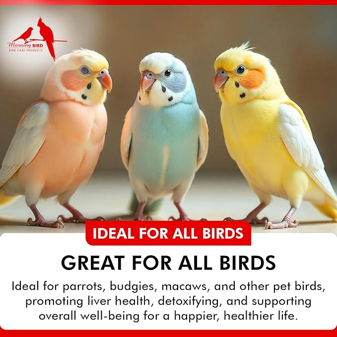 Morning Bird Milk Thistle & Dandelion Extract 1 fl oz - Organic Bird Supplement for Optimal Health – Support Liver Heath & Promotes Detox - Suitable for All Birds Species