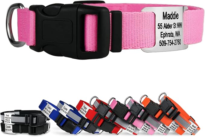 GoTags Personalized Dog Collar with Nameplate, Adjustable Dog Collar with Custom Engraved Slide On Pet ID Tag in Stainless Steel, Silent, No Noise Dog Tag for Large Medium and Small (Pink, Large)