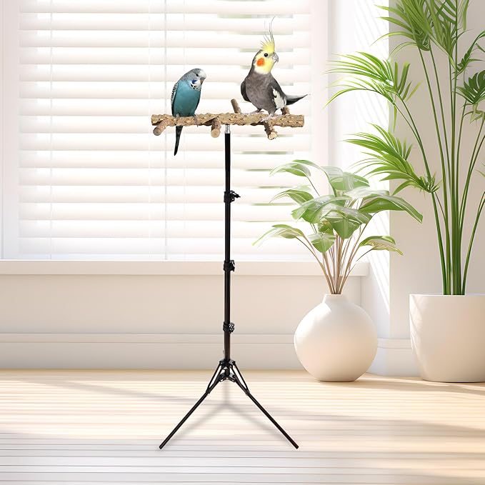 Wooden Bird Perch Stand with a Height Adjustable Tripod, Bird Training Accessories for Indoor or Outdoor, Birds Stand for African Grey, Budgies, Cockatiels, Lovebirds, Conures, Small to Medium Birds