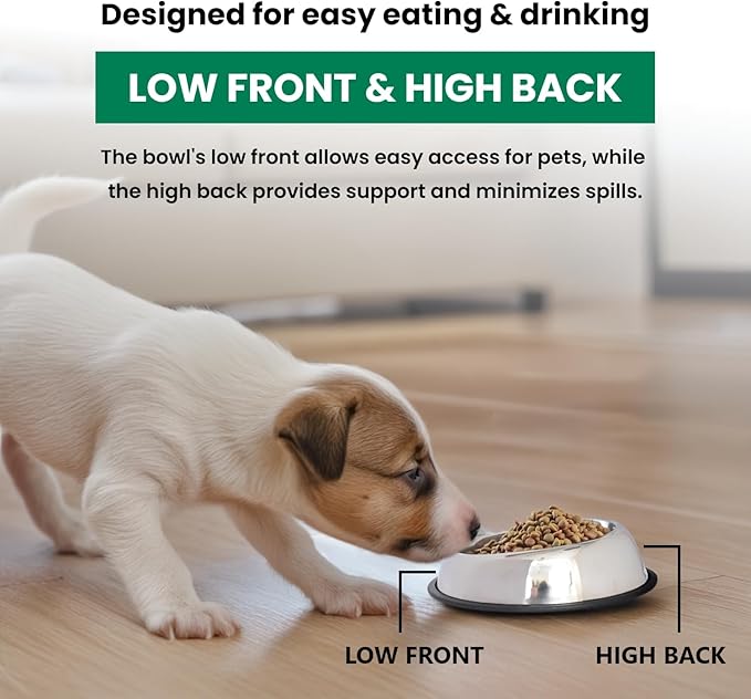 ICONIC PET 2 Cup/16 Oz Heavy Weight Non-Skid Stainless Steel High Back Pet Food/Water Bowls with Removable Anti Skid Rubber Ring - Dog/Cat Feeding Bowl in Unique Design, Dishwasher Safe
