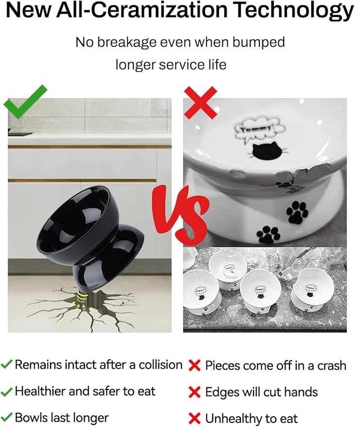 Cat Water Bowl, 16 OZ Ceramic Elevated Cat Bowls, 15° Tilted and Raised Pet Food Dish, Anti Vomiting Protect Pets' Spines and Whisker Fatigue