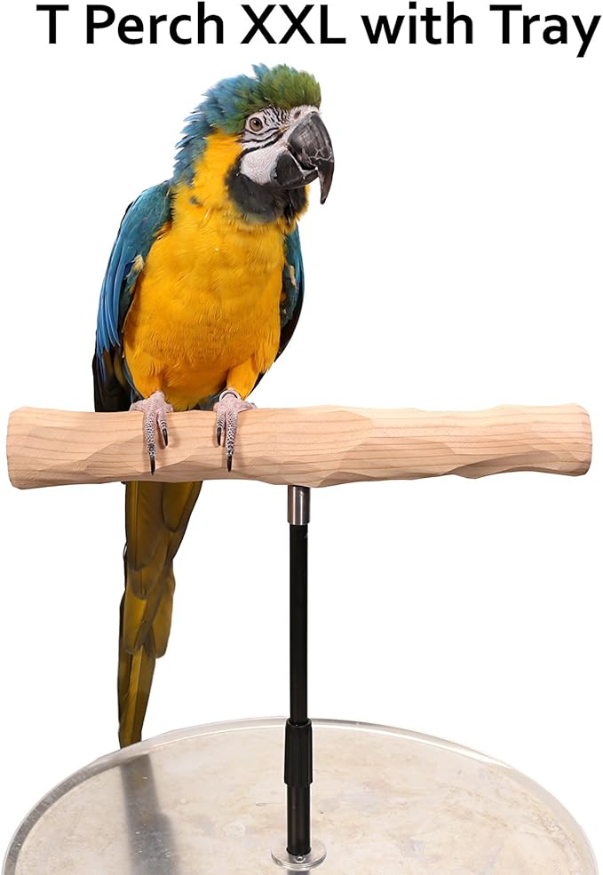 Parrot Training Perch Stand with Potty Tray (T Perch, XXL)