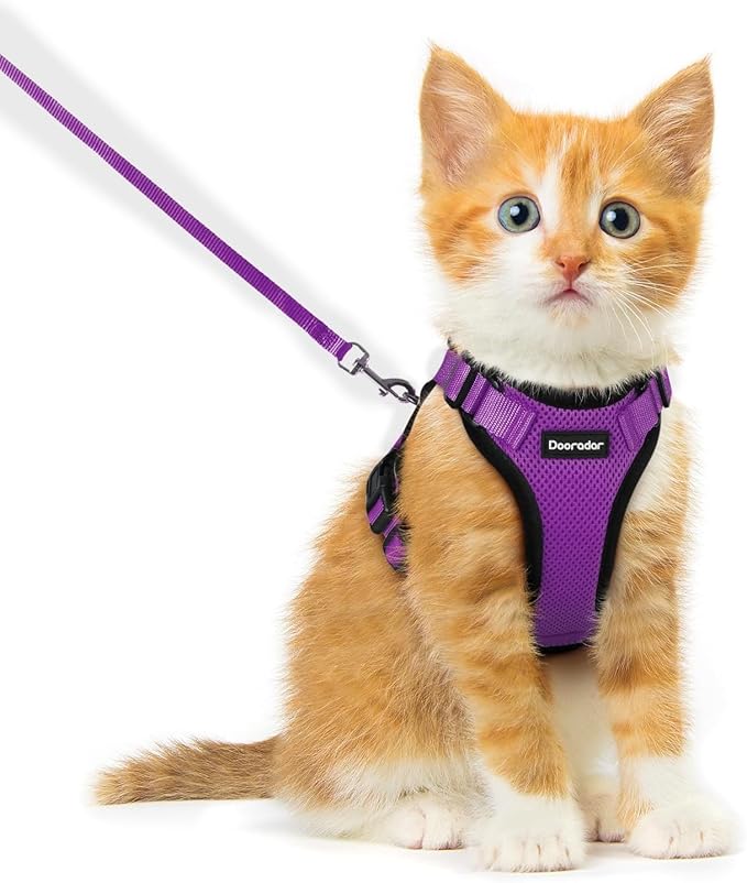 Dooradar Cat Harness and Leash Set, Escape Proof Safe Adjustable Kitten Vest Harnesses for Walking, Easy Control Soft Breathable Mesh Jacket with Reflective Strips for Cats, Purple, XXS