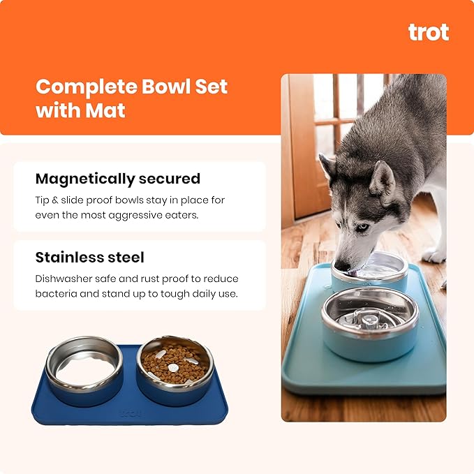 Trot Pets Premium Dog Bowls | Stainless Steel Bowl Set for Small, Medium, or Large Dogs | Non-Slip Food and & Water Slow Feeder | Durable, BPA-Free, Anti-Skid, Dishwasher Safe (Cobalt, Medium)