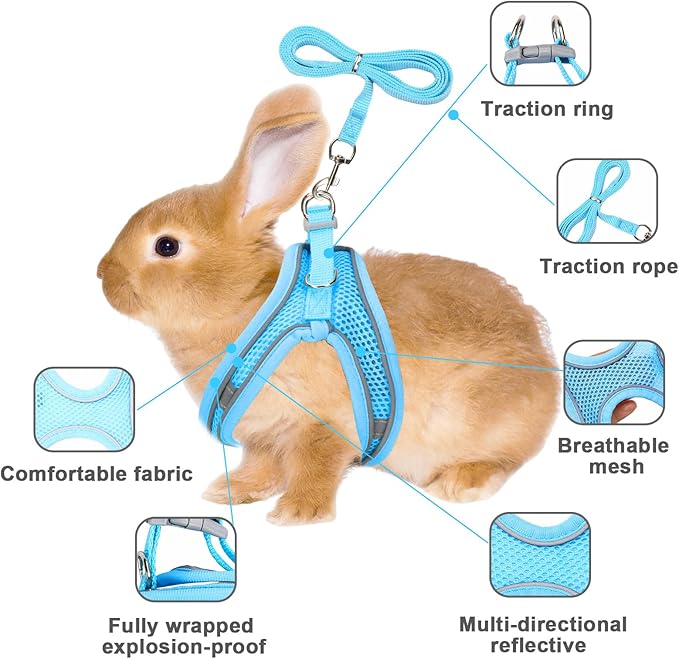 2 Pack Rabbit Harness and Leash Set, Double Buckle Bunnies Harness with Reflective Strips Soft Breathable Mesh Vest Harness for Rabbits Walks Accessories(Blue and Black)