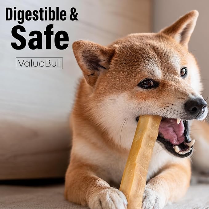 ValueBull Himalayan Yak Cheese Dog Chews, Medium, 10 ct - Long Lasting for Aggressive Chewers, All Natural, Healthy & Safe, Low Odor Nepal Yak Milk Chews