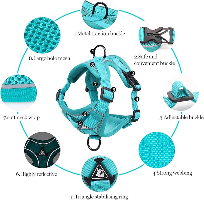 Wanheart Summer cat Chest Harness and Leash, Anti-Escape Adjustable Soft mesh cat Leash and Chest Harness Set for All Types of Cats cat Vests (Emerald, XL)