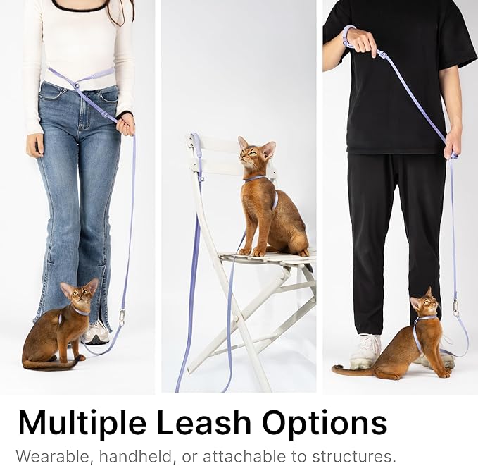 Sierra Blue M Cat Harness and Leash Set, Lightweight Escape Proof, Adjustable, Walking Training