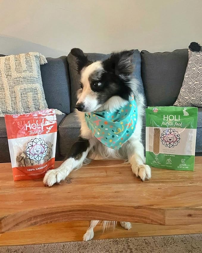 HOLI Rabbit Single Ingredient Dog Food Protein Topper - Made in USA – Human-Grade Freeze Dried Dog Food Mix in Topping – Grain Free, Gluten Free – 100% All Natural - 8oz