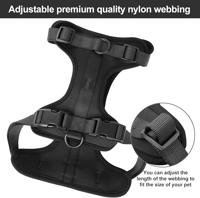 Wisedog No Pull Lightweight Dog Harness: Adjustable Breathable Mesh Pet Vest Harness with Soft & Comfortable Cushion, for Small Medium Large Dogs (Small, Black)
