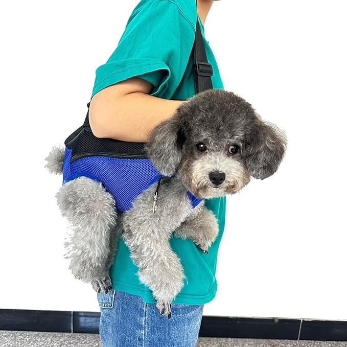 Pet Dog Carrier Backpack, Portable Breathable Mesh Chest Carrier, Polyester Woven Double Shoulder Pet Bag for Outdoor Adventures (SkyBlue, Medium)