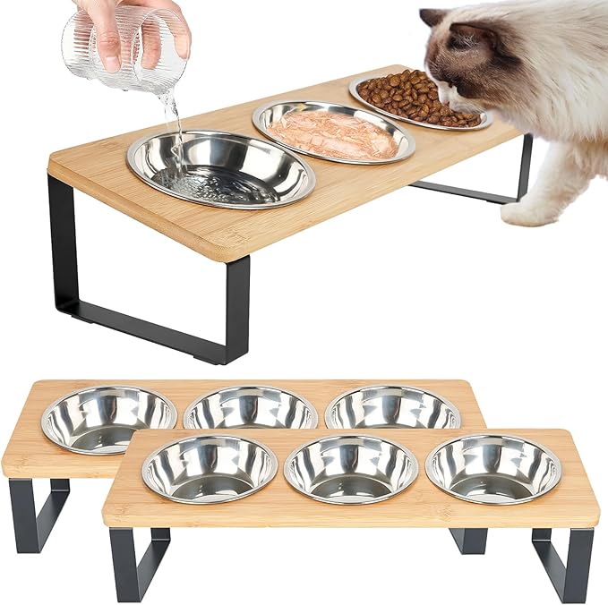 2 Set Elevated Cat Food Water Bowls, 6 Stainless Steel Bowls, 15° Tilted Raised Cat Bowl Set, for Indoor Cats for Small Cats and Puppies Pet Bowls with Stand