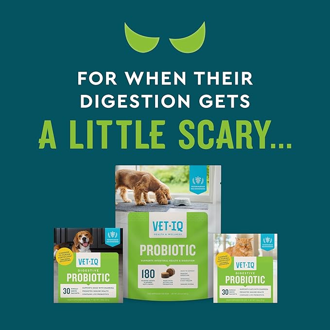 VetIQ Probiotic Powder for Dogs, Treats Diarrhea, Digestive Issues, Food Sensitivity, Chicken Flavored, Single-Serve Packets, 30 Count
