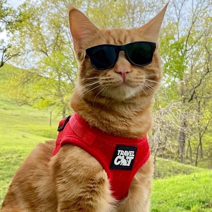 Travel Cat Harness and Leash Set - Adjustable Fit Mesh Cat Harness and Reflective Strap - Comfort Walking Vest for Kitten for Outdoor Walking, Hiking (Medium, Red)