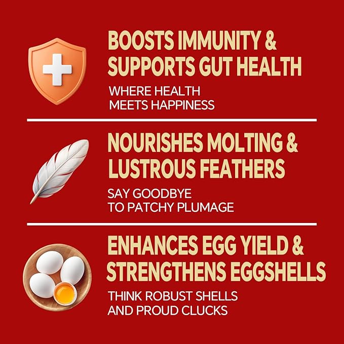 Dried Black Soldier Fly Larvae, Non-GMO, Natural Chicken Treats & High-Protein Poultry Snacks for Backyard Chickens, Laying Hens & Ducks, 10 lb Box