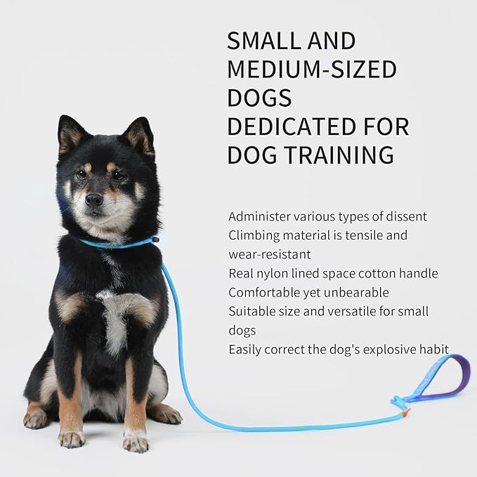 Dog Anti-Slip Leash 5FT with Metal Stopper - Durable No-Pull Training Lead for Small, Medium & Large Dogs - Comfortable Handle Nylon Rope, Tangle-Free Pet Walking Leash (Lake Blue, 5 FT)
