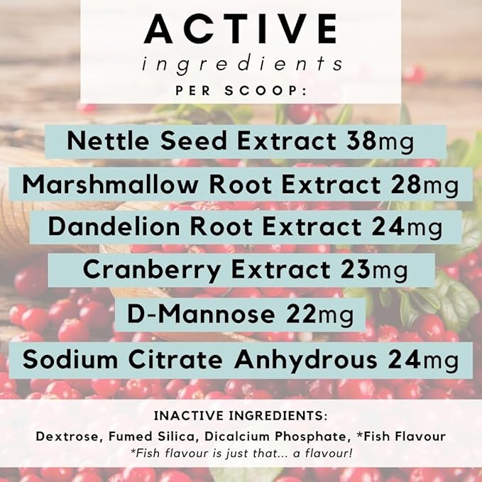 Urinary and Kidney Powder Supplement for Cats - Cranberry, Nettle Seed, D-Mannose for Cat UTI Treatment, Urinary Tract Health, and Kidney Care - Fast UTI Relief & Prevention - 60 Scoops