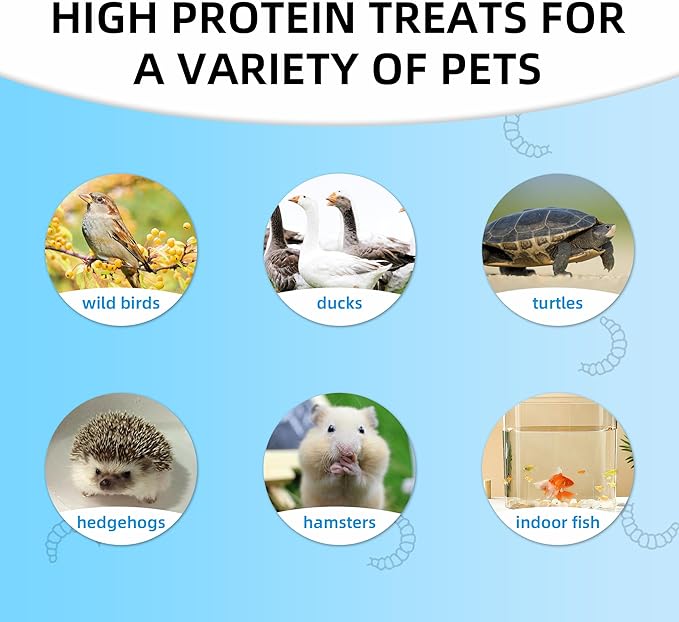 I LOVE WORMS Dried Black Soldier Fly Larvae (5lb), 100% Natural Non-GMO, Treat for Chickens, More Calcium Chicken Feed Than Mealworms