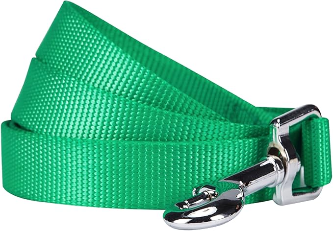 Blueberry Pet Essentials Emerald Dog Leash for X-Small -5' * 3/8" Dogs | Heavy Duty Nylon Lead | Lightweight Puppy & Cat Leash for Walking & Training