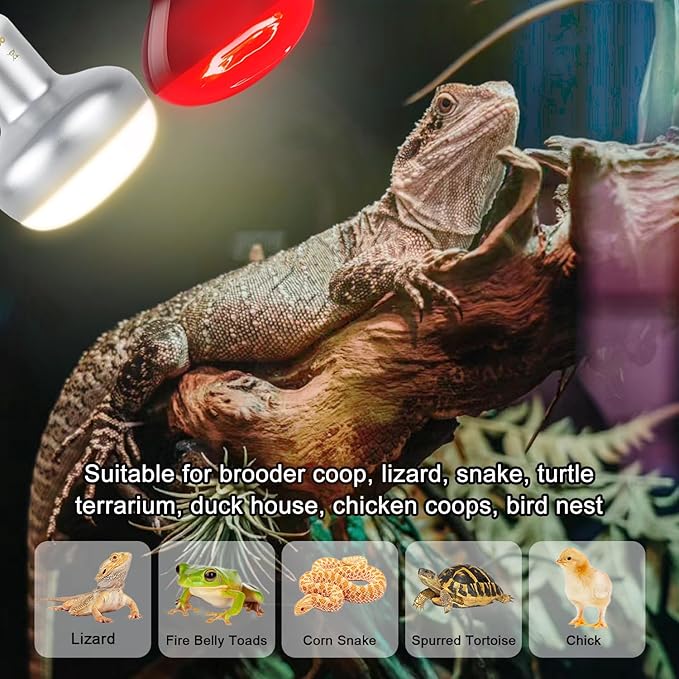 100W Reptile Heat Lamp Bulb, Day & Night Basking Spot Light Combo Pack Includes Infrared Heat Lamp and UVA Daylight Heating Lamp Basking Light for Lizards, Turtles, Chicken，Bearded Dragons