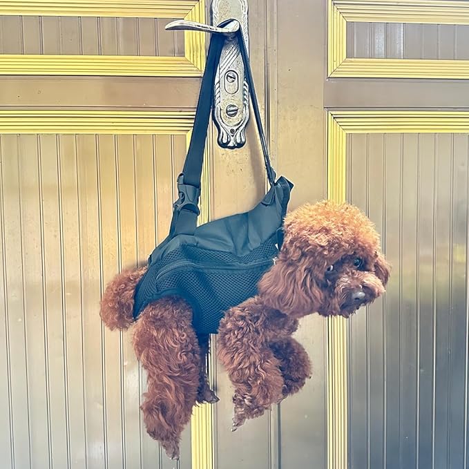 Pet Dog Carrier Backpack, Portable Breathable Mesh Chest Carrier, Polyester Woven Double Shoulder Pet Bag for Outdoor Adventures (Black, Medium)