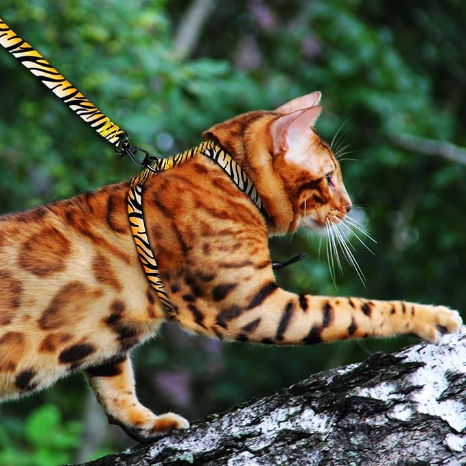 Cat Harness and Leash Escape Proof (S)