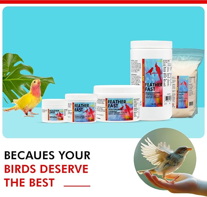 Morning Bird Feather Fast 6 Oz – Multi-Vitamin During Molt - Molting Support Supplement for Birds – Amino Acid & Vitamin Powder Formula– Promotes Feather Growth, and Full Plumage – for All Adult Birds