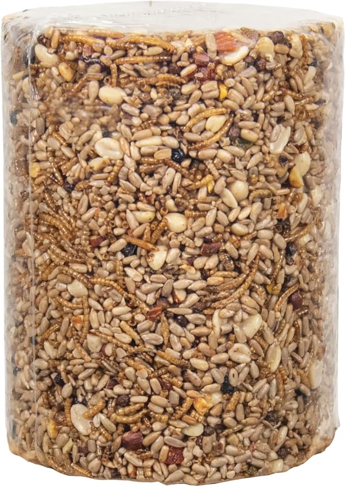 JCs Wildlife Bugs Nuts and Berries Premium Bird Seed Large Cylinder with Hole, 3.8 lb (1)