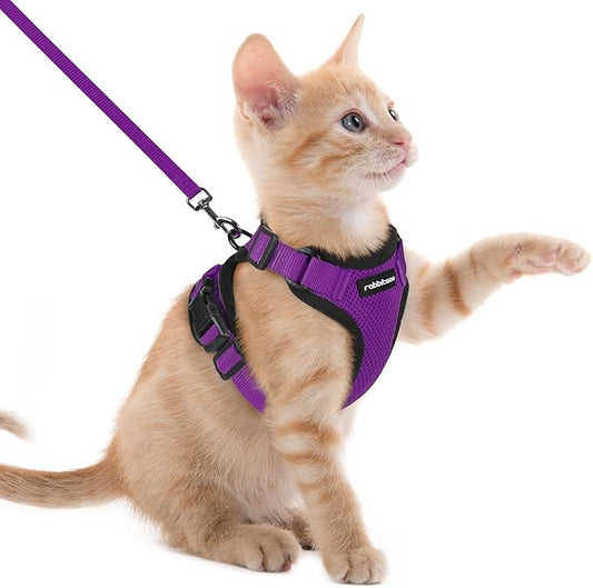 rabbitgoo Cat Harness and Leash for Walking, Escape Proof Soft Adjustable Vest Harnesses for Cats, Easy Control Breathable Reflective Strips Jacket, Purple, XXS